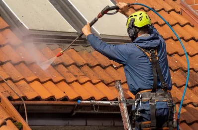 Démoussage et hydrofuge de toiture à Gillonnay